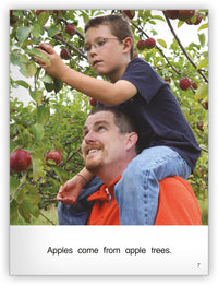 Where Does It Come From? Big Book