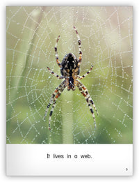 Where Does It Live? Leveled Book