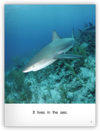 Where Does It Live? Leveled Book