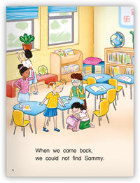 Where Is Sammy? from Kaleidoscope Collection