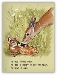 White-Tailed Deer from Kaleidoscope Collection