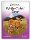 White-Tailed Deer from Kaleidoscope Collection