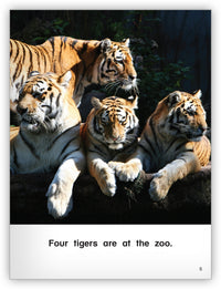 Who Is at the Zoo? from Kaleidoscope Collection