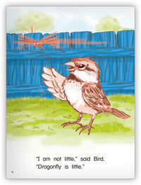 Who Is Little? Big Book