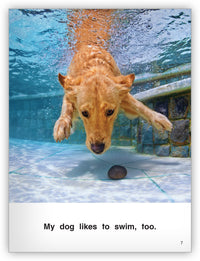 Who Likes to Swim? from Kaleidoscope Collection