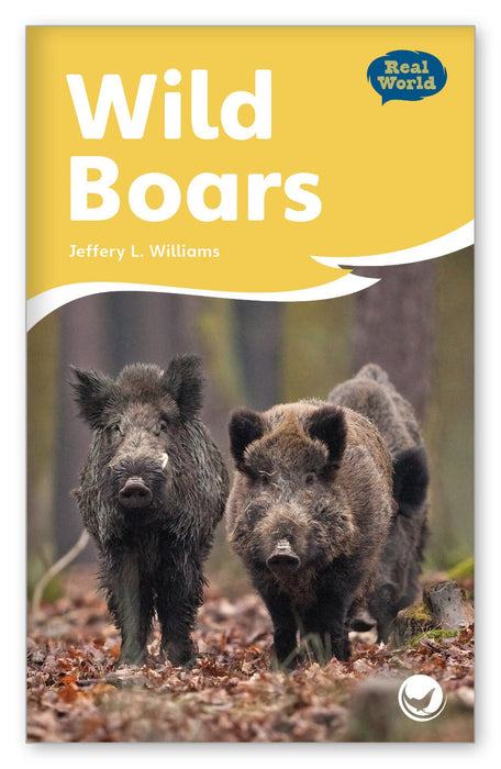 Wild Boars from Fables & the Real World