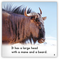 Wildebeest from Zoozoo Animal World