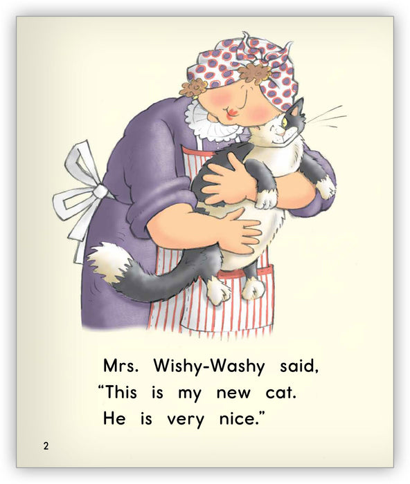 Wishy-Washy Cat Big Book from Joy Cowley Early Birds