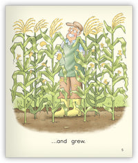 Wishy-Washy Corn from Joy Cowley Early Birds