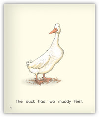 Wishy-Washy House Leveled Book