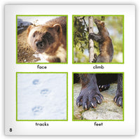 Wolverine from Zoozoo Animal World