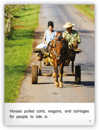 Work Horses from Kaleidoscope Collection