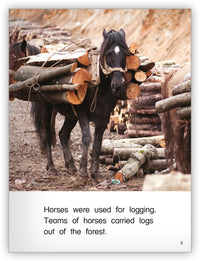 Work Horses from Kaleidoscope Collection