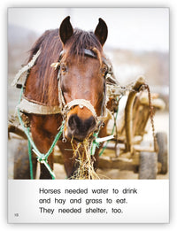 Work Horses from Kaleidoscope Collection