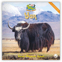 Yak from Zoozoo Animal World