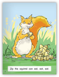Zip the Squirrel from Kaleidoscope Collection