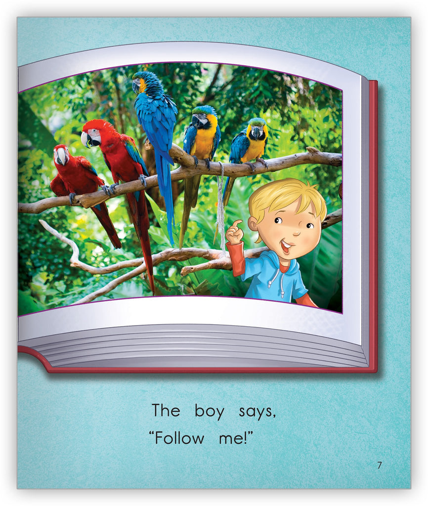 Zoo Book - Joy Cowley Early Birds - Hameray Publishing