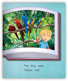 Zoo Book from Joy Cowley Early Birds