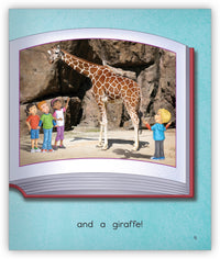 Zoo Book from Joy Cowley Early Birds